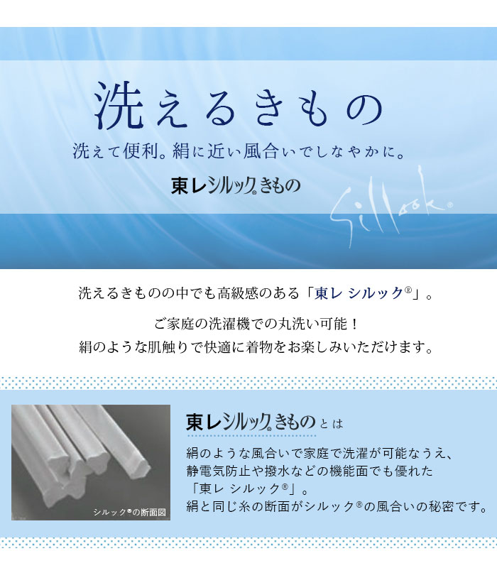 【東レ シルック 夏 絽ちりめん】小紋 着尺 反物 No.a16　大久保信子流