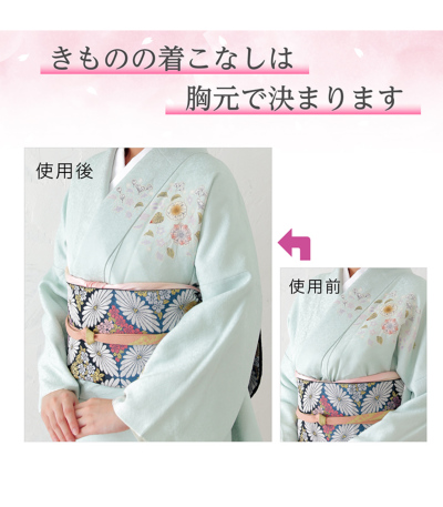 和装ブラジャー しとや華（アイスブルー）（3L） 2220-00064-C-3L 和装
