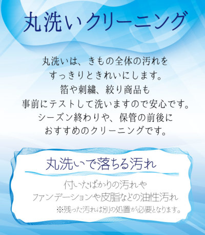 きものクリーニング / 丸洗い】訪問着・付下げ（袷） 9000-00210-W-Y