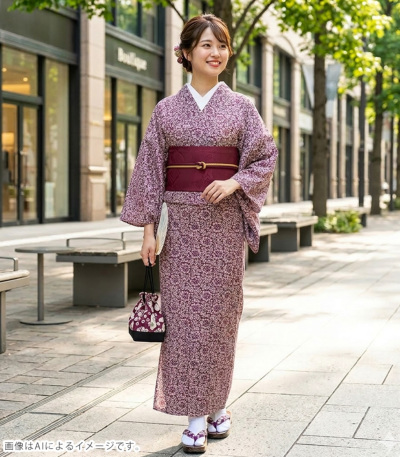 お値下げ！　ほぼ未使用！　【単衣　小紋】 東レシルック 洗える着物 単衣 BL TL サイズ 江戸小紋 鮫小紋柄 全3色